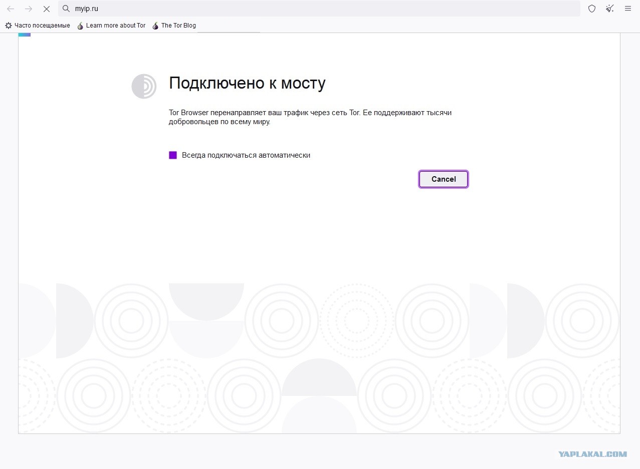 Ссылка на кракен тор kr2web in