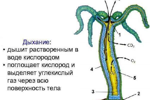 Площадки в даркнете
