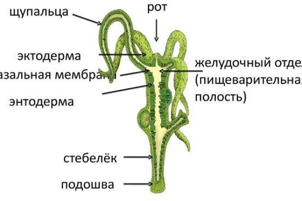 Кракен ссылка купить соли