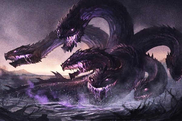 Kraken 12 at