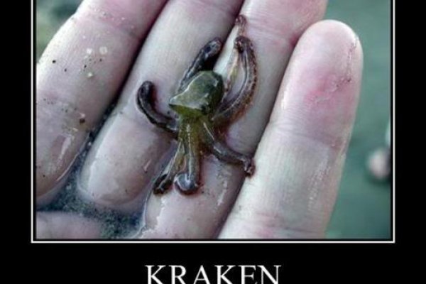 Kraken ссылка актуальная москва