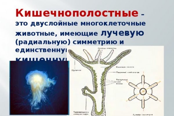 Кракен at сегодня работает ли